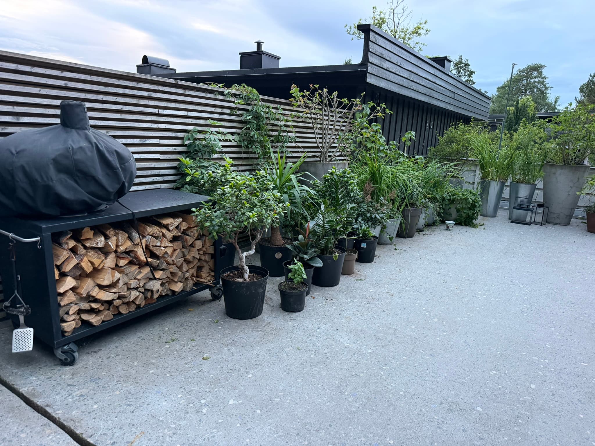 Bildetekst mangler