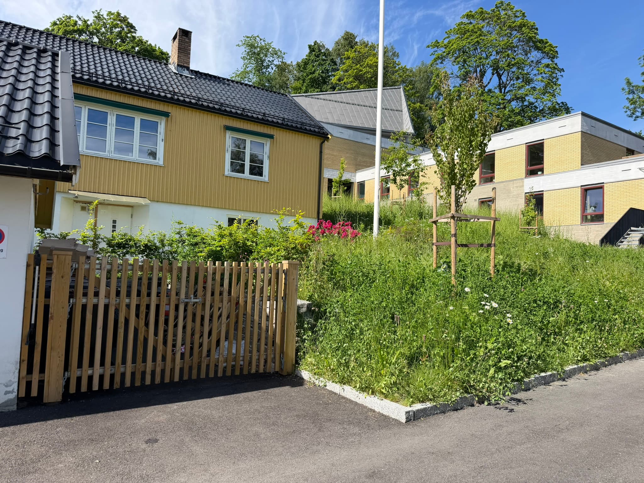 Bildetekst mangler