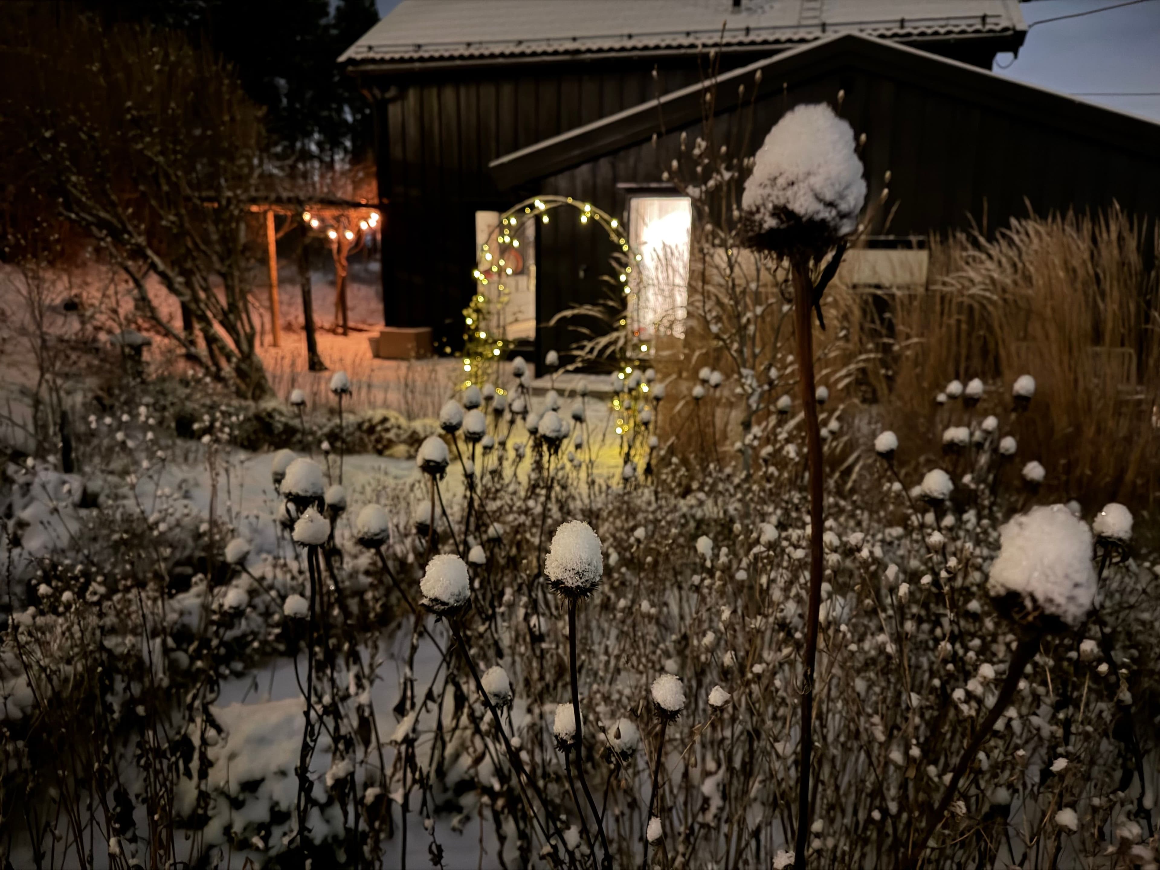 Picture of Privathage på Nesodden