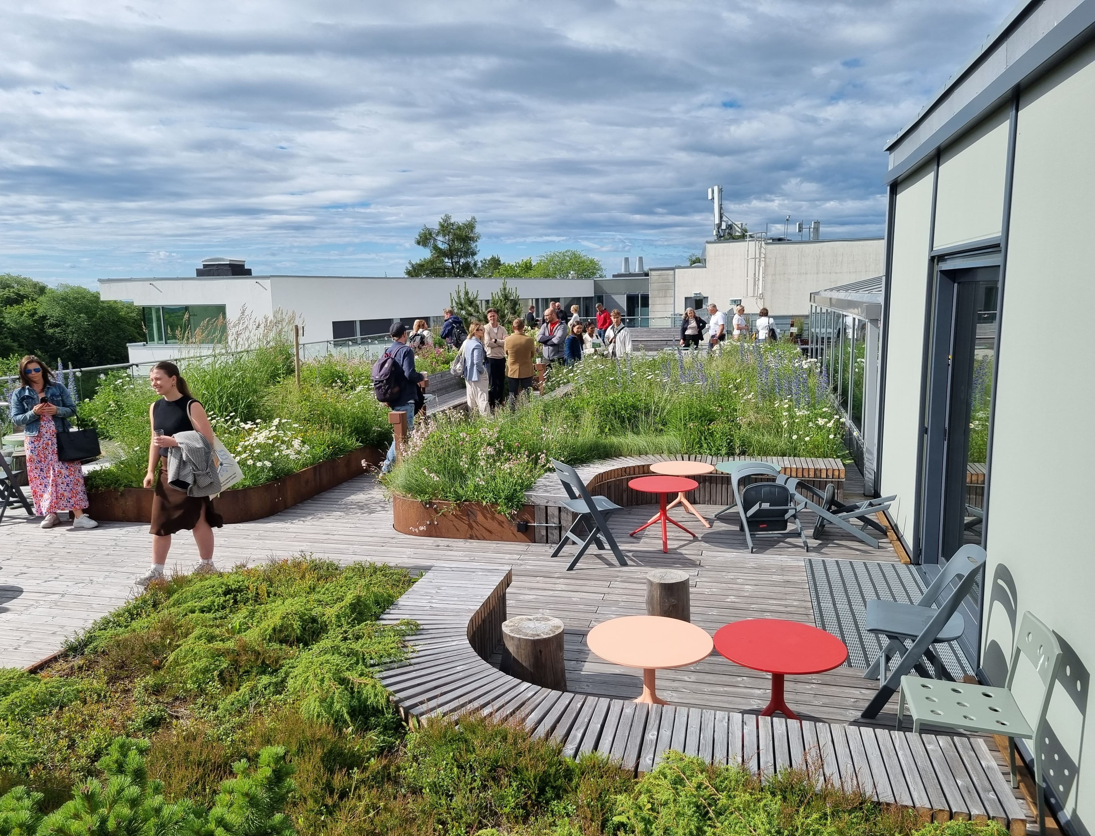 Picture of Takfrokost